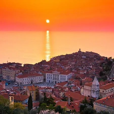 Bed & Breakfast Silvia 3*