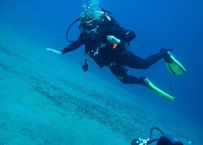 Silvia בפורטורוז