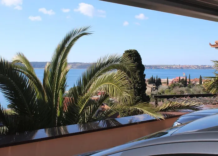 Silvia בפורטורוז